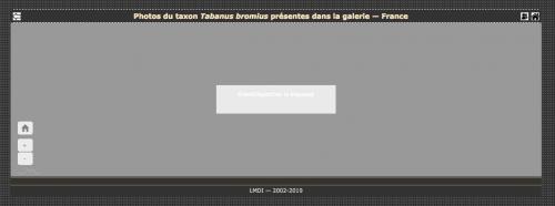 Indéterminé